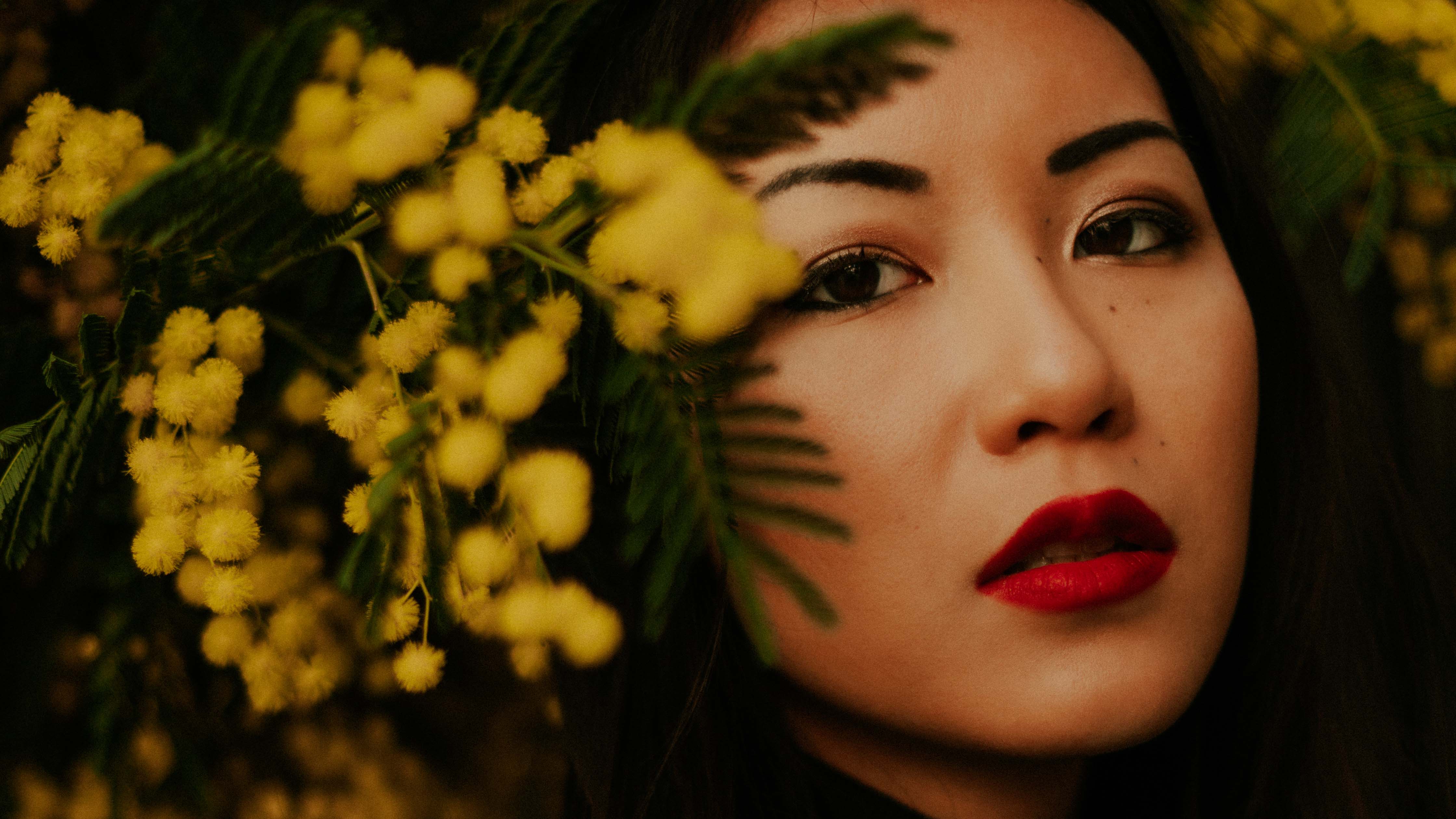 Photo de couverture du shooting mimosas